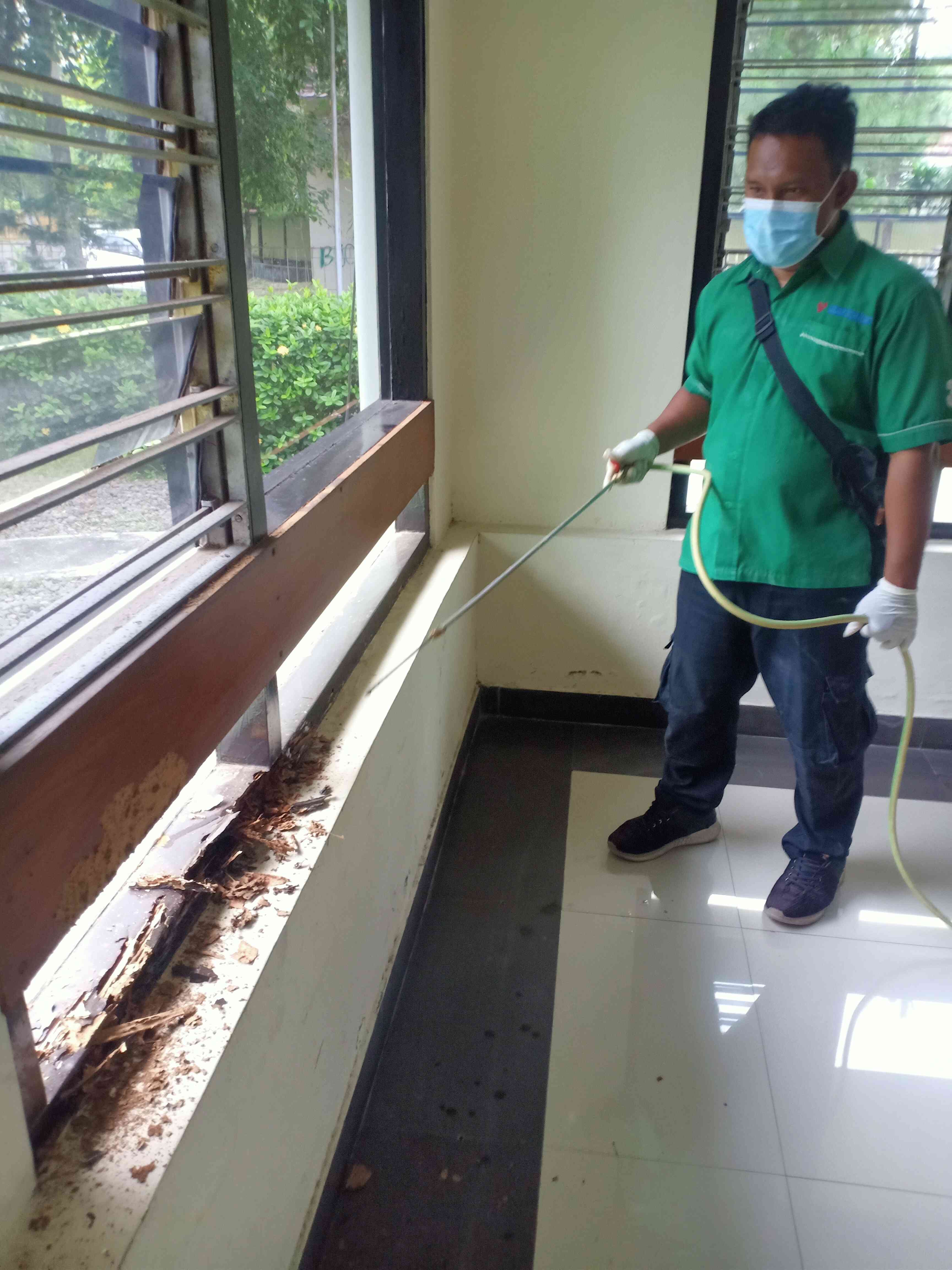 Layanan Pest Control Profesional  Candisari Semarang Jawa Tengah